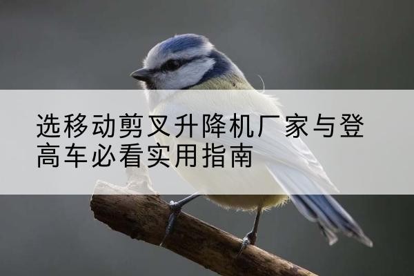 黔西电动升降机厂家-选移动剪叉升降机厂家与登高车必看实用指南