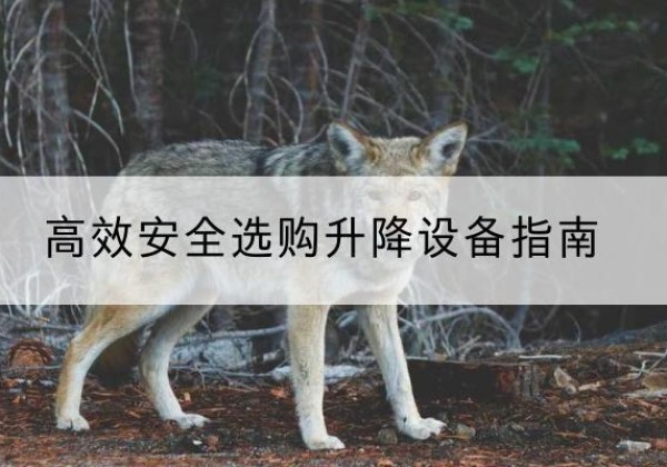 黔西升降货梯厂家推荐-*安全选购升降设备指南