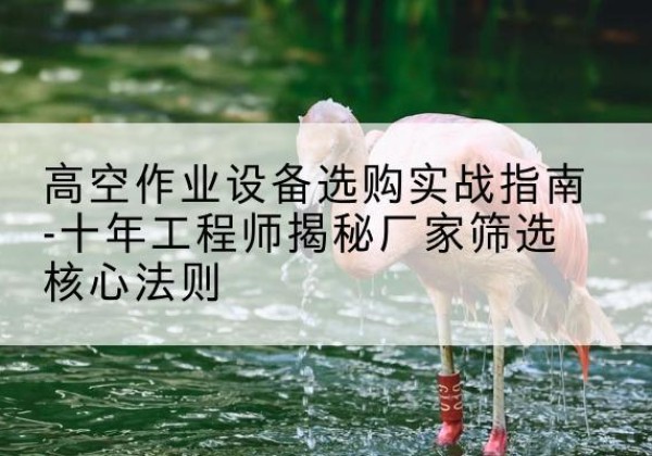 黔西剪叉式升降机厂家-高空作业设备选购实战指南-十年工程师揭秘厂家筛选核心法则